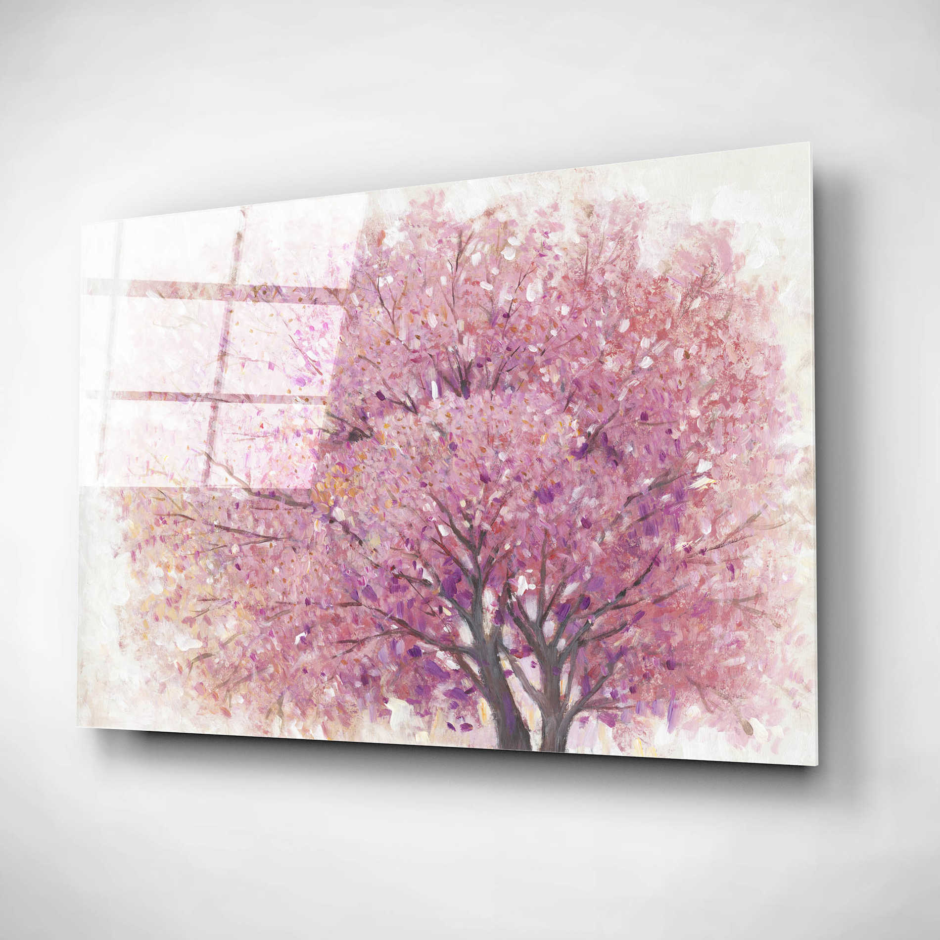 Epic Art 'Pink Cherry Blossom Tree II' by Tim O'Toole, Acrylic Glass Wall Art,16x12