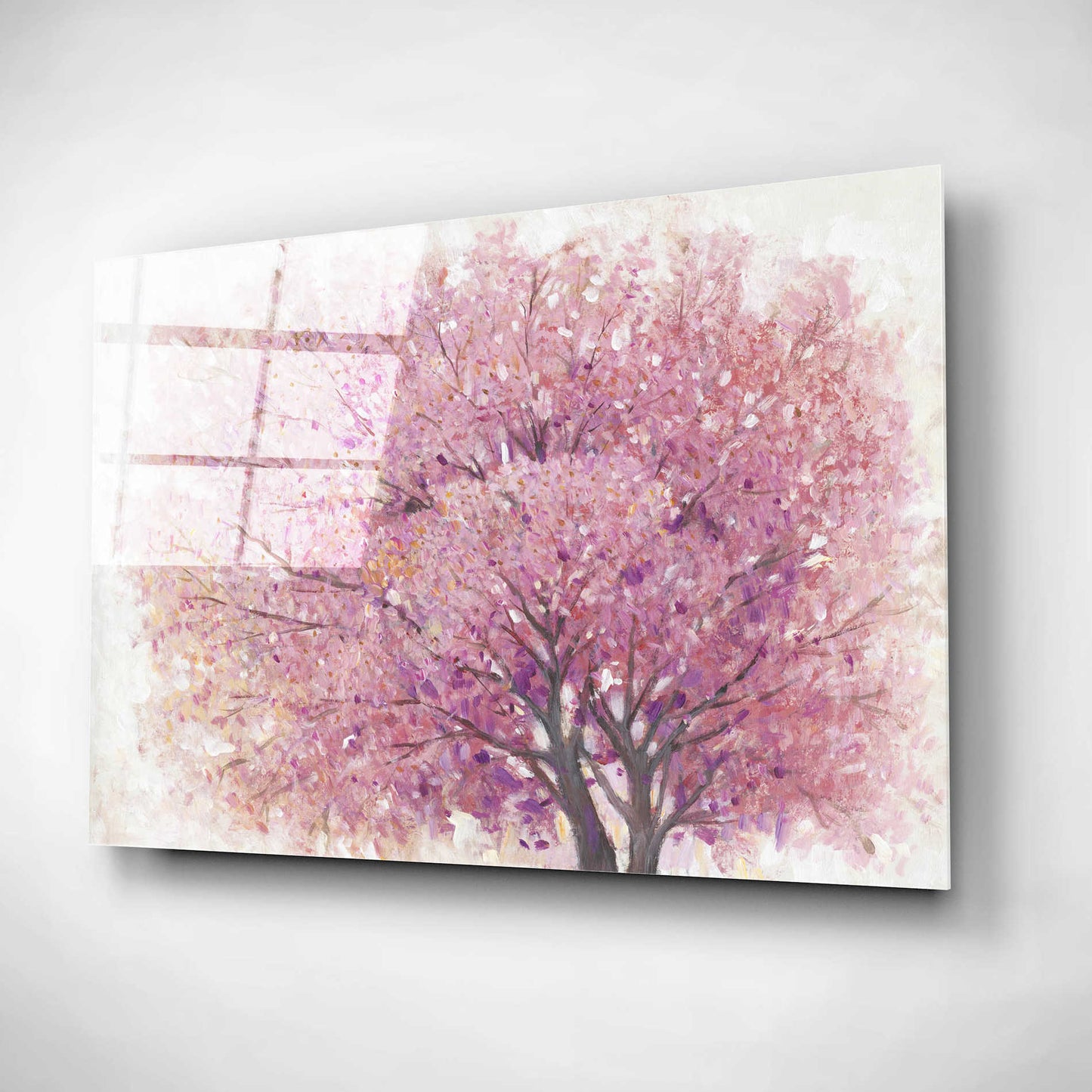 Epic Art 'Pink Cherry Blossom Tree II' by Tim O'Toole, Acrylic Glass Wall Art,24x16
