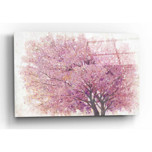 Epic Art 'Pink Cherry Blossom Tree II' by Tim O'Toole, Acrylic Glass Wall Art