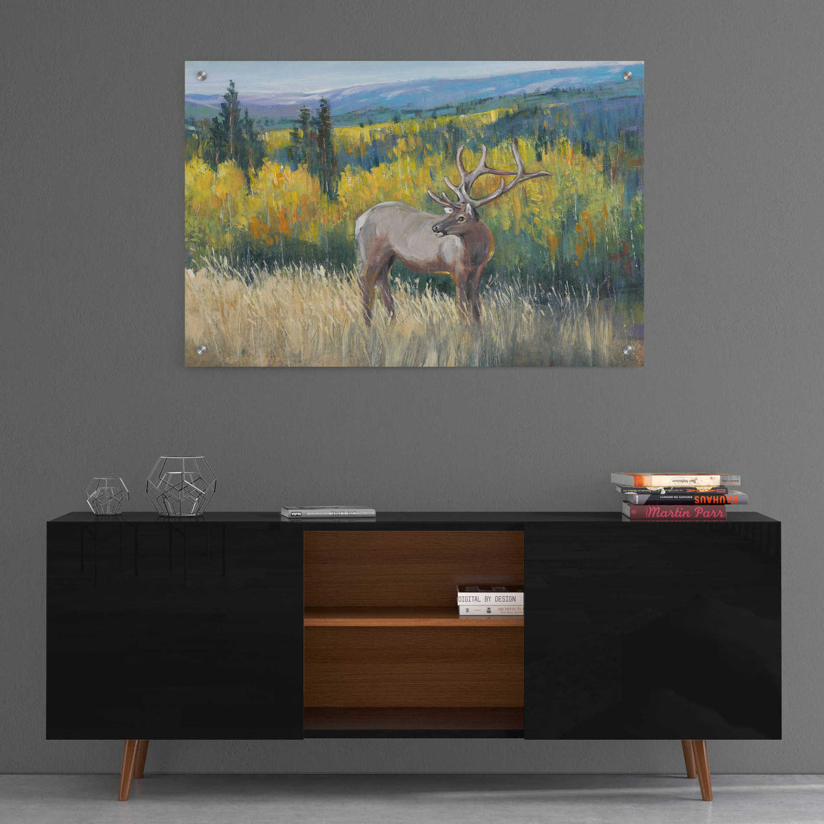 Epic Art 'View From the Top I' by Tim O'Toole, Acrylic Glass Wall Art,36x24