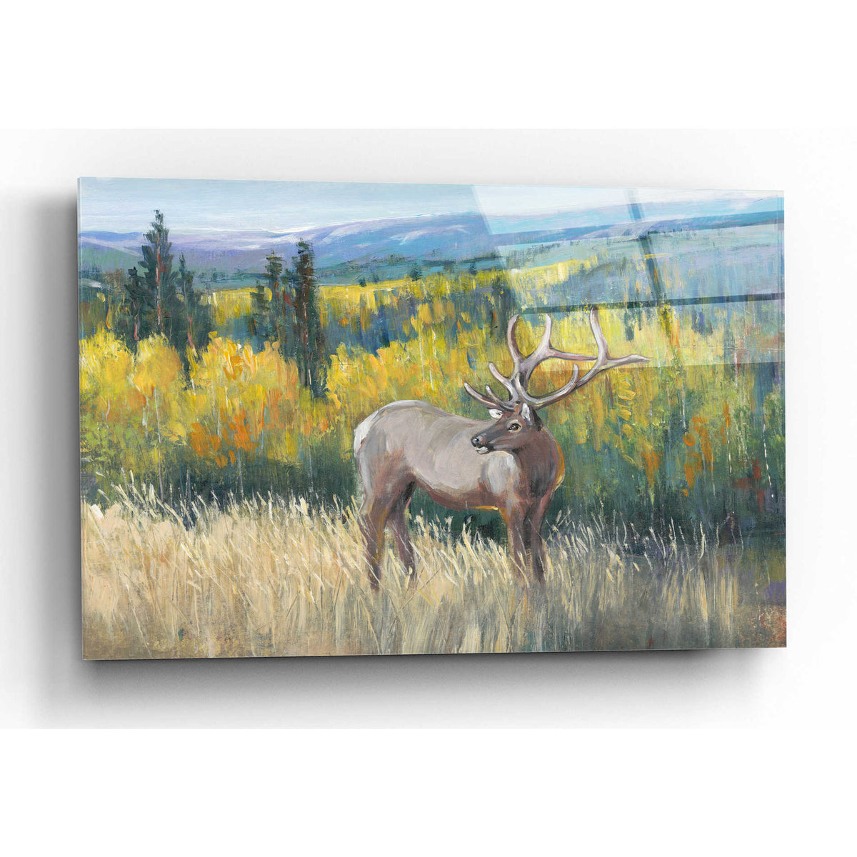 Epic Art 'View From the Top I' by Tim O'Toole, Acrylic Glass Wall Art