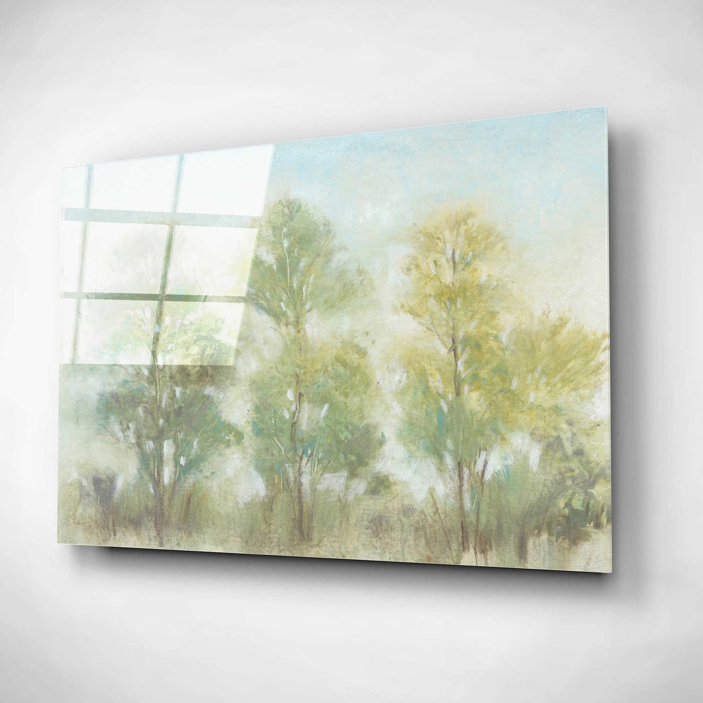 Epic Art 'Muted Trees II' by Tim O'Toole, Acrylic Glass Wall Art,16x12