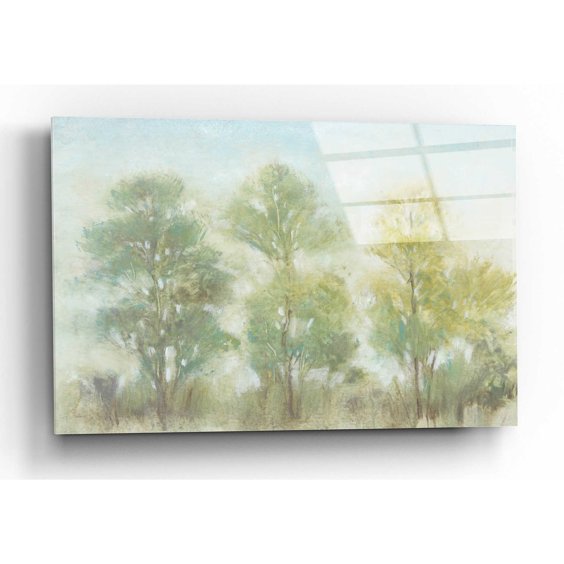 Epic Art 'Muted Trees II' by Tim O'Toole, Acrylic Glass Wall Art,16x12