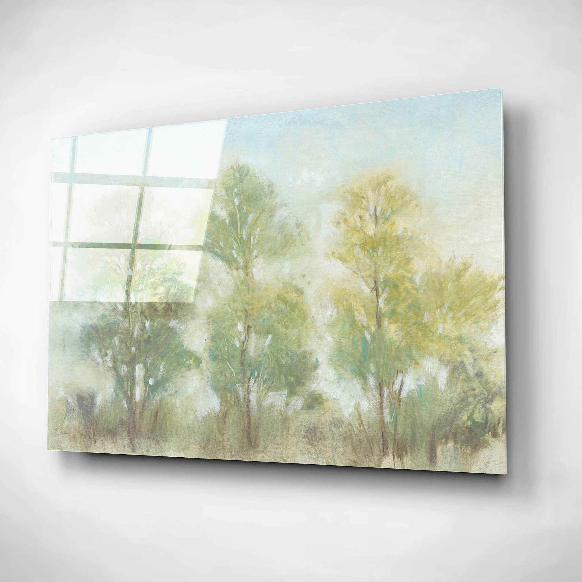 Epic Art 'Muted Trees II' by Tim O'Toole, Acrylic Glass Wall Art,24x16