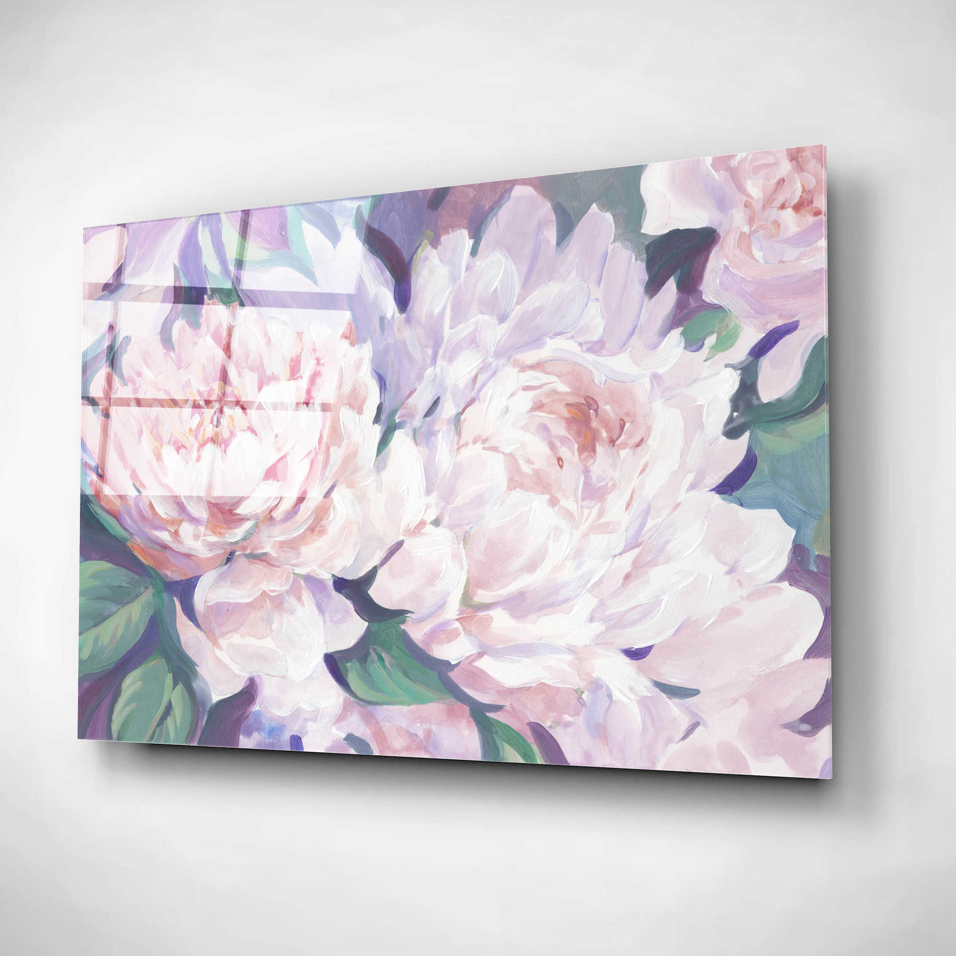 Epic Art 'Peonies in Bloom I' by Tim O'Toole, Acrylic Glass Wall Art,24x16