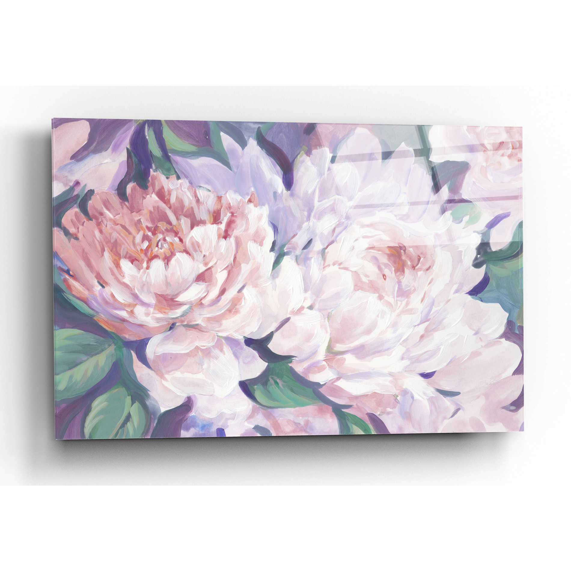 Epic Art 'Peonies in Bloom I' by Tim O'Toole, Acrylic Glass Wall Art,24x16