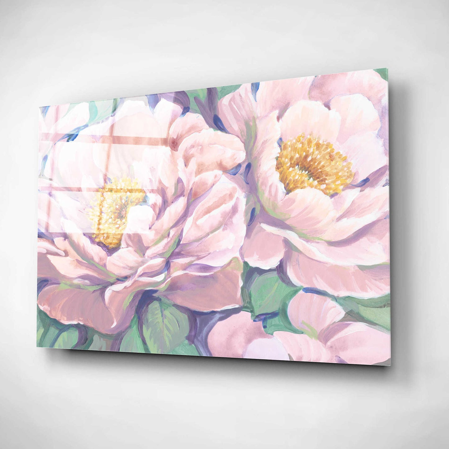 Epic Art 'Peonies in Bloom II' by Tim O'Toole, Acrylic Glass Wall Art,16x12