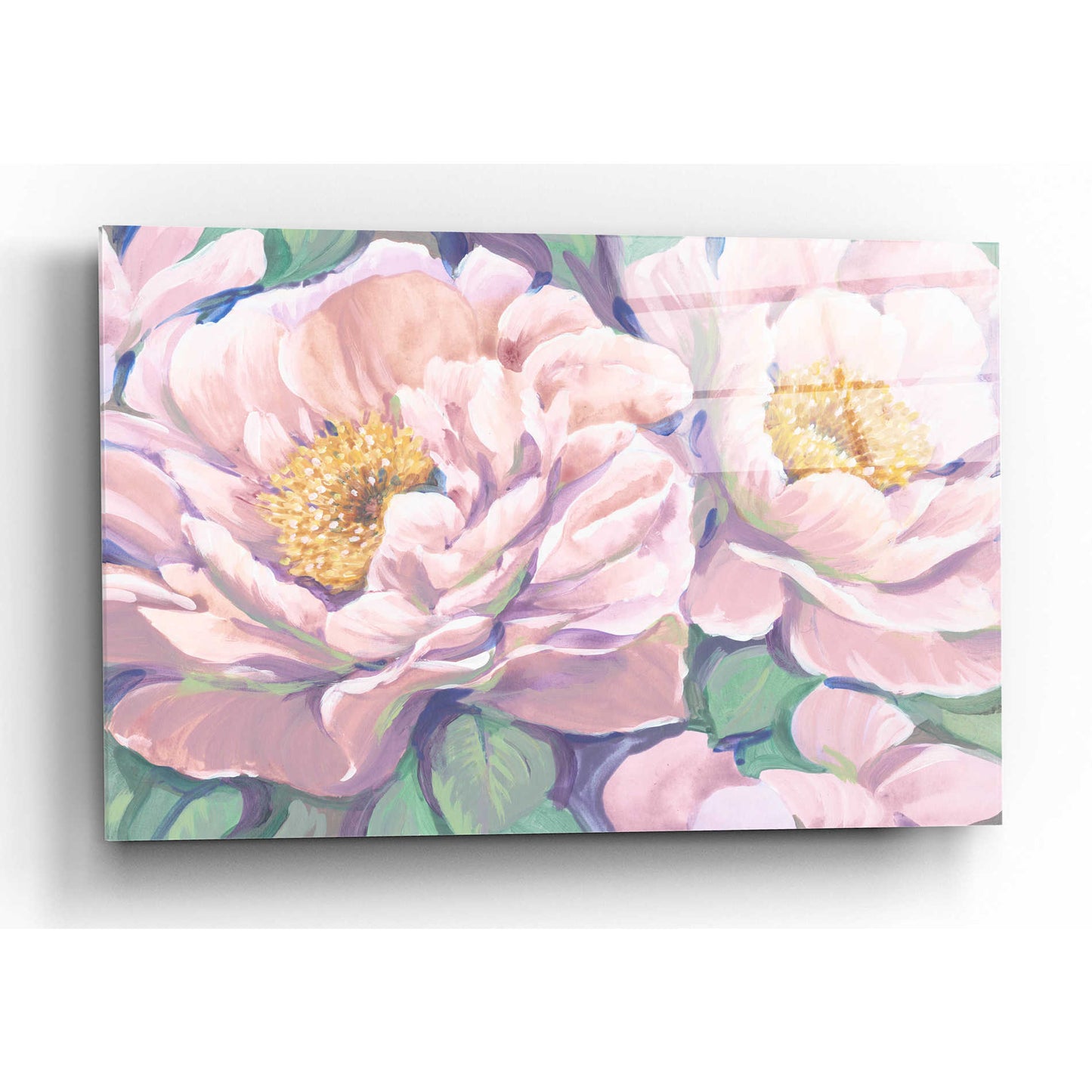 Epic Art 'Peonies in Bloom II' by Tim O'Toole, Acrylic Glass Wall Art,16x12