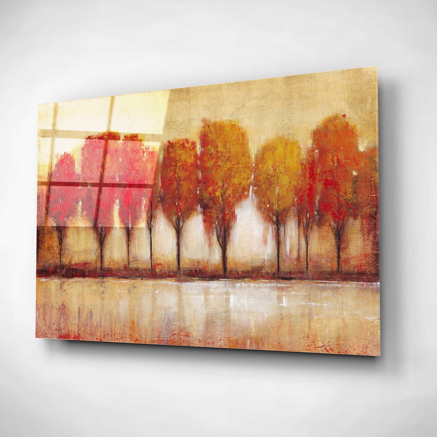 Epic Art 'Autumn Water's Edge' by Tim O'Toole, Acrylic Glass Wall Art,16x12