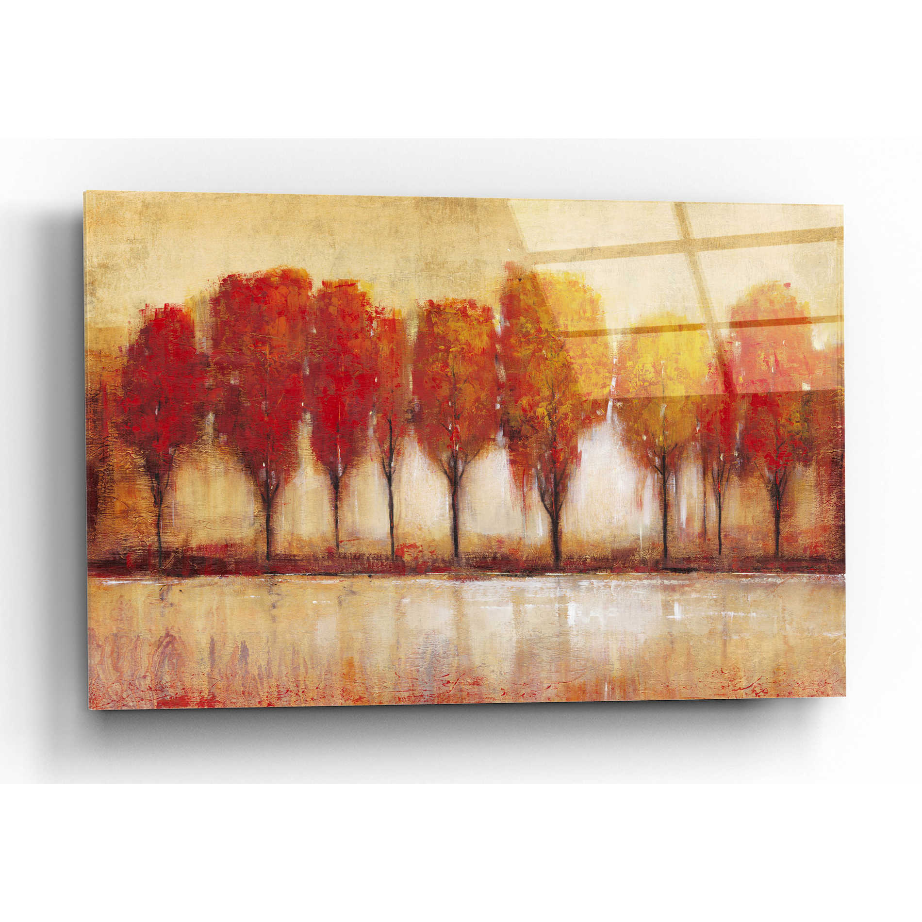 Epic Art 'Autumn Water's Edge' by Tim O'Toole, Acrylic Glass Wall Art,16x12