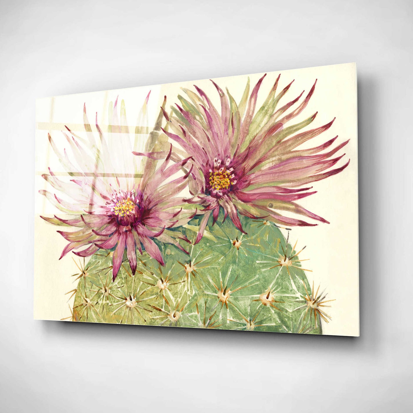 Epic Art 'Cactus Blossoms I' by Tim O'Toole, Acrylic Glass Wall Art,16x12