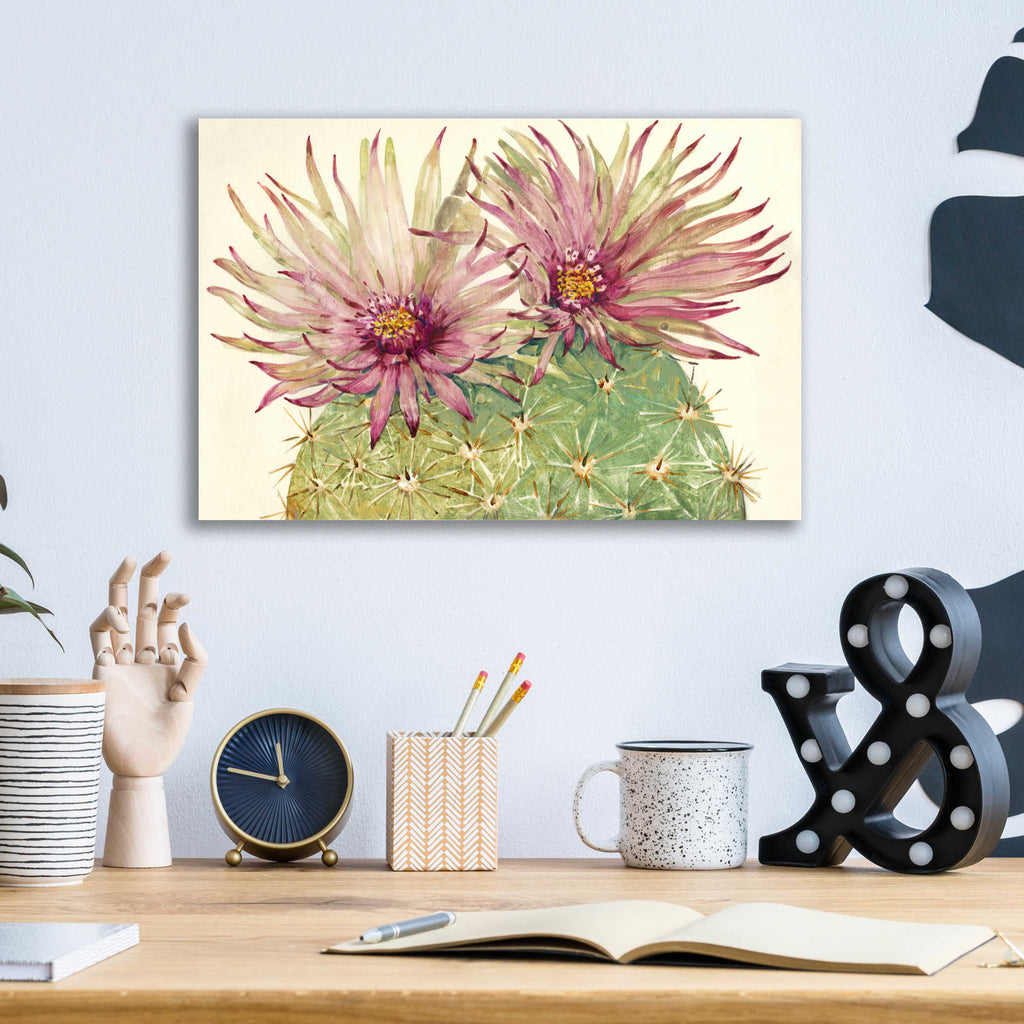 Epic Art 'Cactus Blossoms I' by Tim O'Toole, Acrylic Glass Wall Art,16x12
