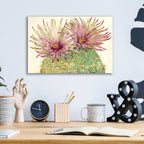 Epic Art 'Cactus Blossoms I' by Tim O'Toole, Acrylic Glass Wall Art,16x12
