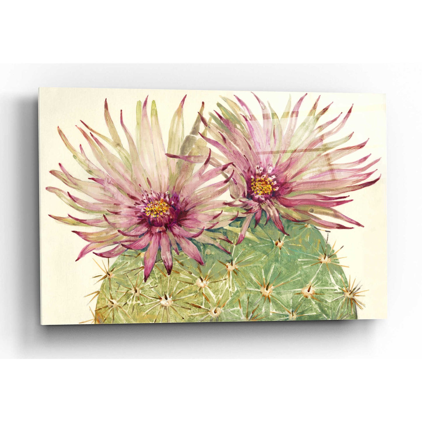 Epic Art 'Cactus Blossoms I' by Tim O'Toole, Acrylic Glass Wall Art,16x12