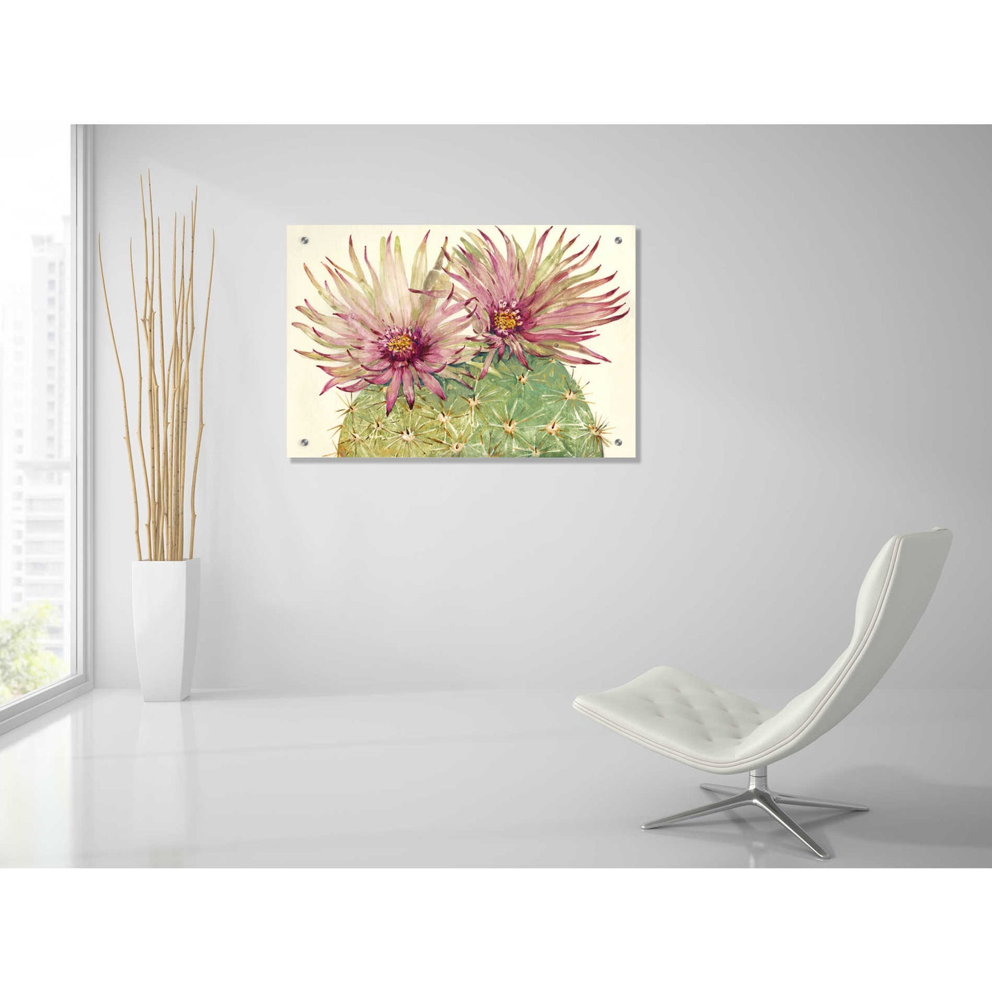 Epic Art 'Cactus Blossoms I' by Tim O'Toole, Acrylic Glass Wall Art,36x24