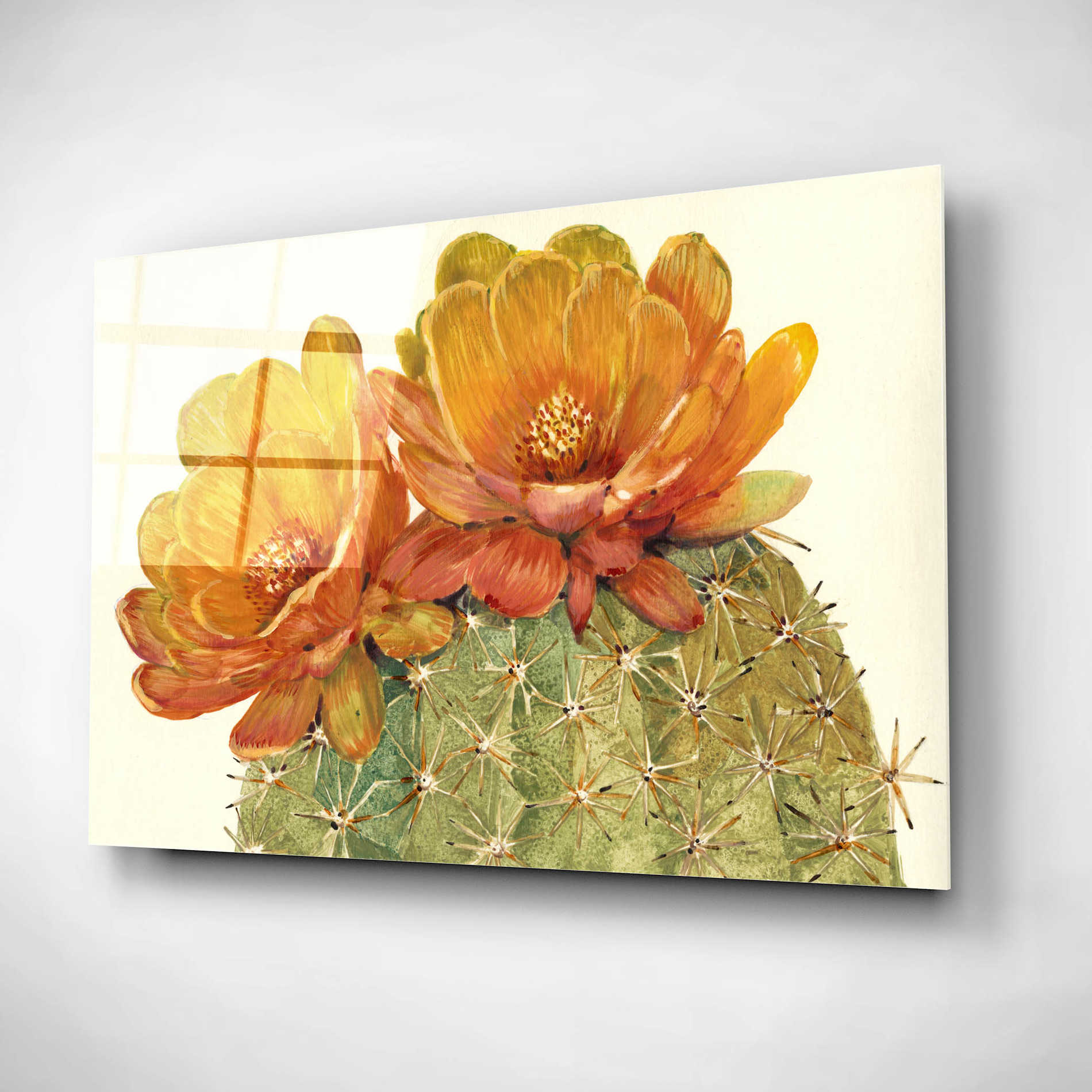 Epic Art 'Cactus Blossoms II' by Tim O'Toole, Acrylic Glass Wall Art,16x12