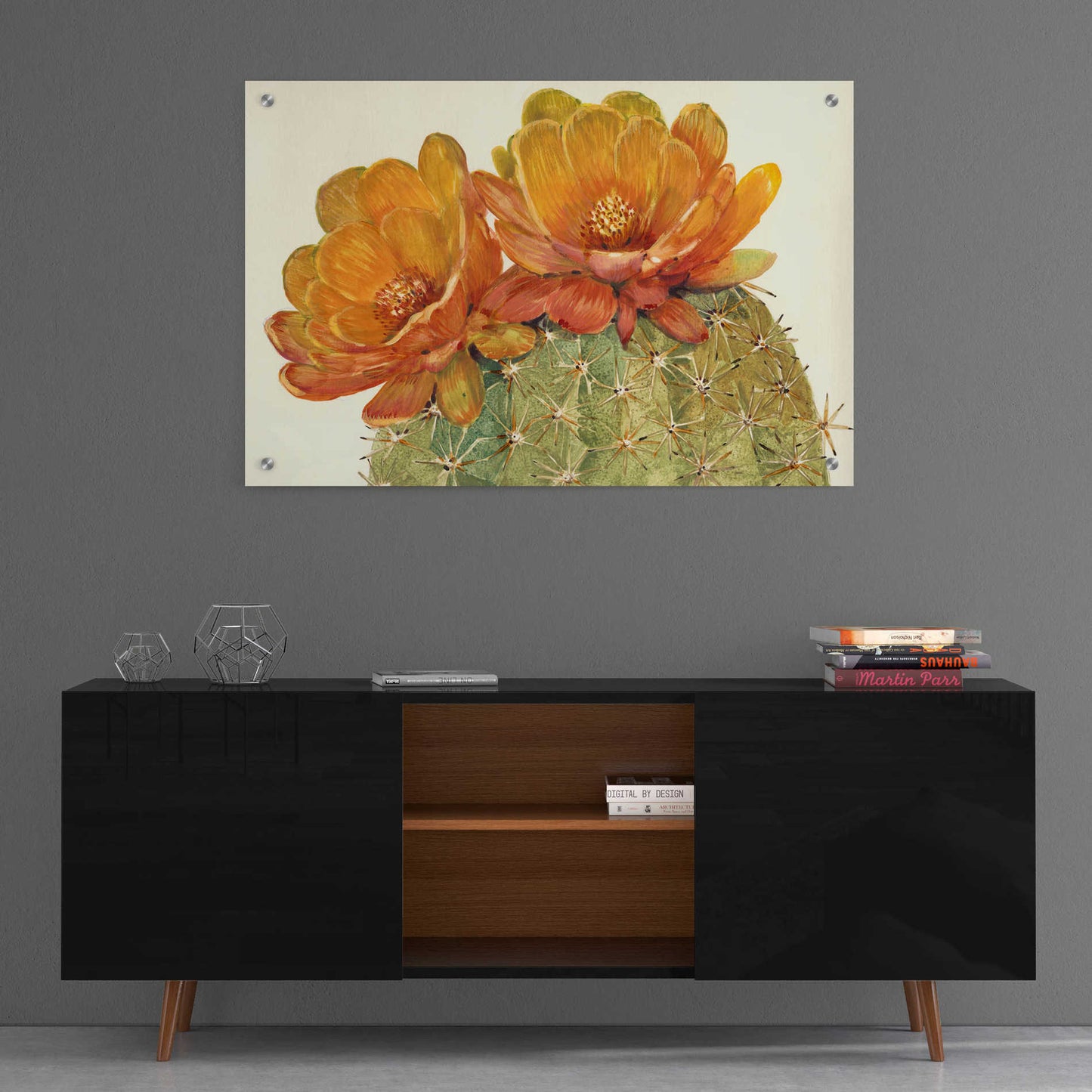 Epic Art 'Cactus Blossoms II' by Tim O'Toole, Acrylic Glass Wall Art,36x24