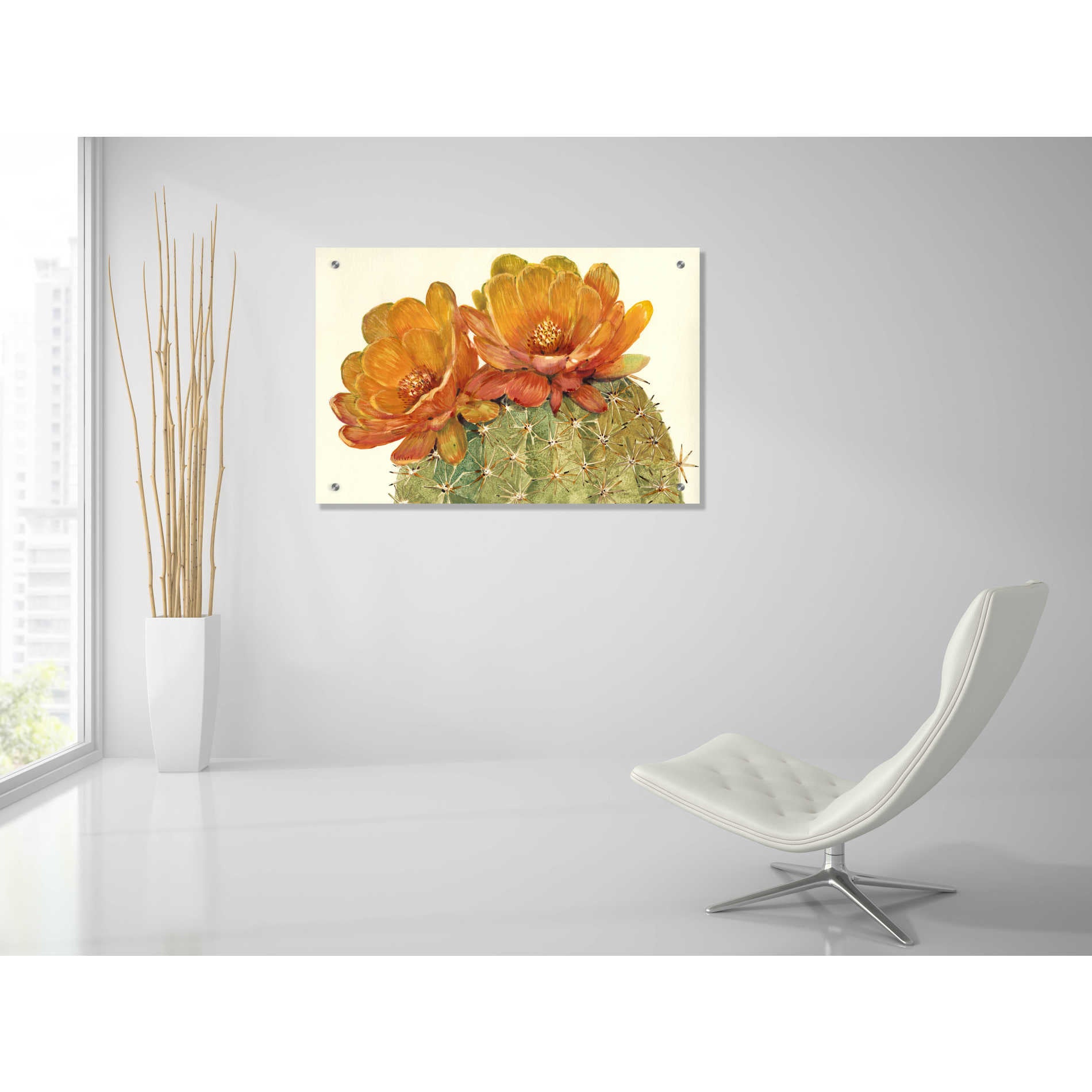 Epic Art 'Cactus Blossoms II' by Tim O'Toole, Acrylic Glass Wall Art,36x24