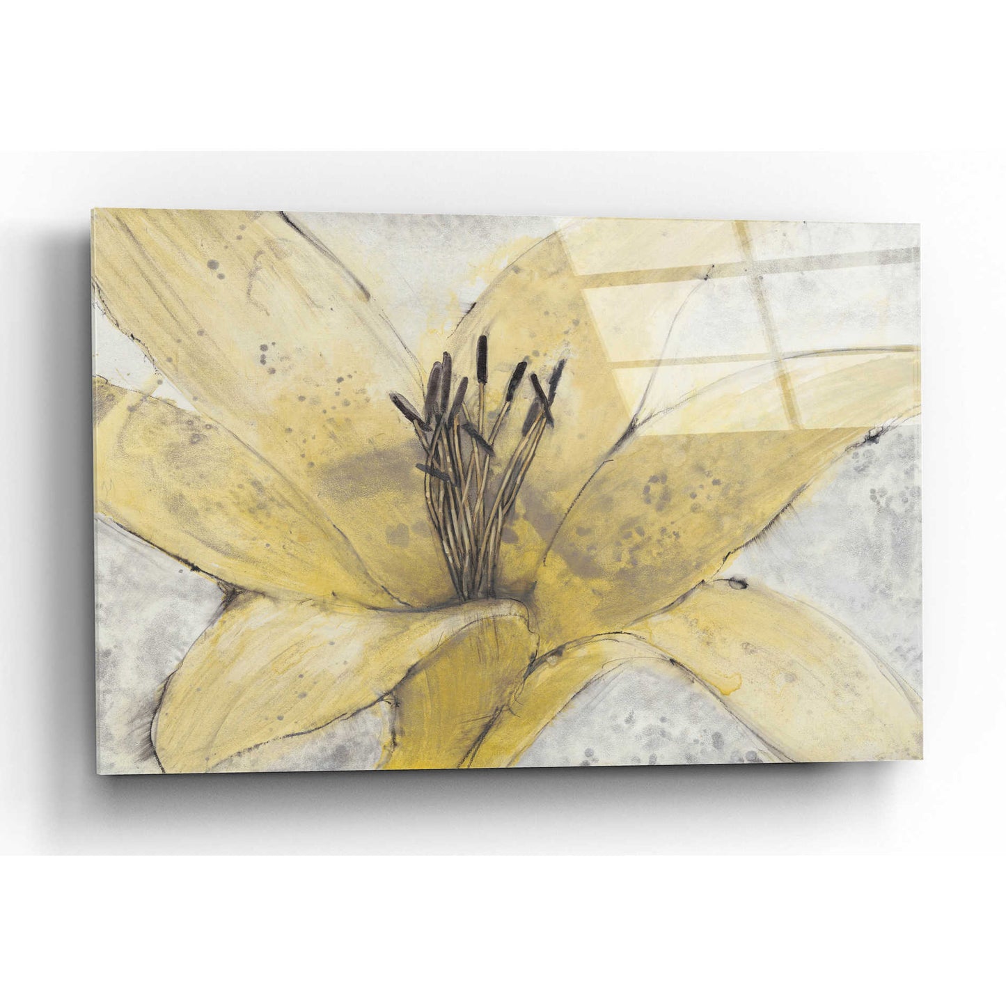 Epic Art 'Transparency Flower I' by Tim O'Toole, Acrylic Glass Wall Art,16x12