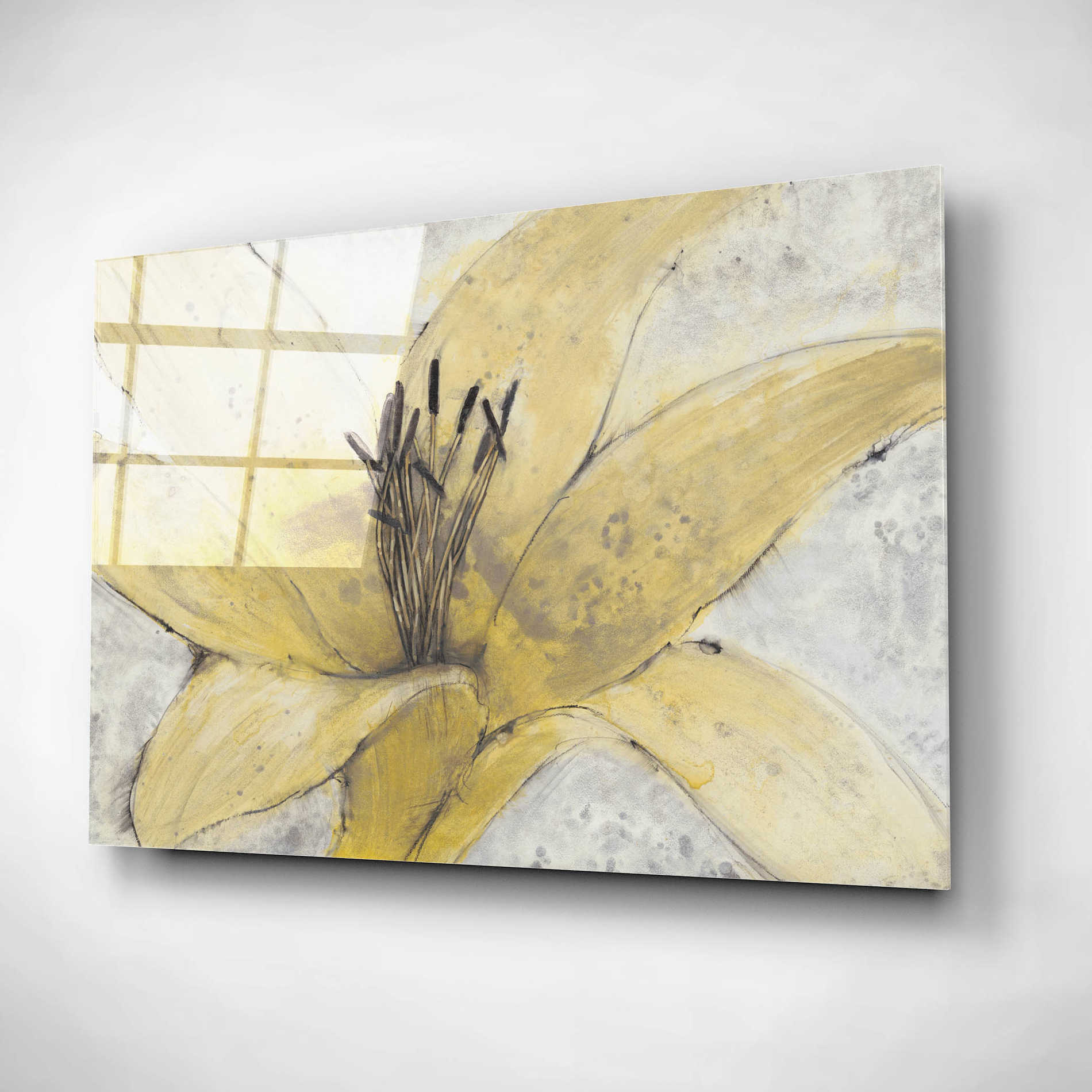 Epic Art 'Transparency Flower I' by Tim O'Toole, Acrylic Glass Wall Art,24x16