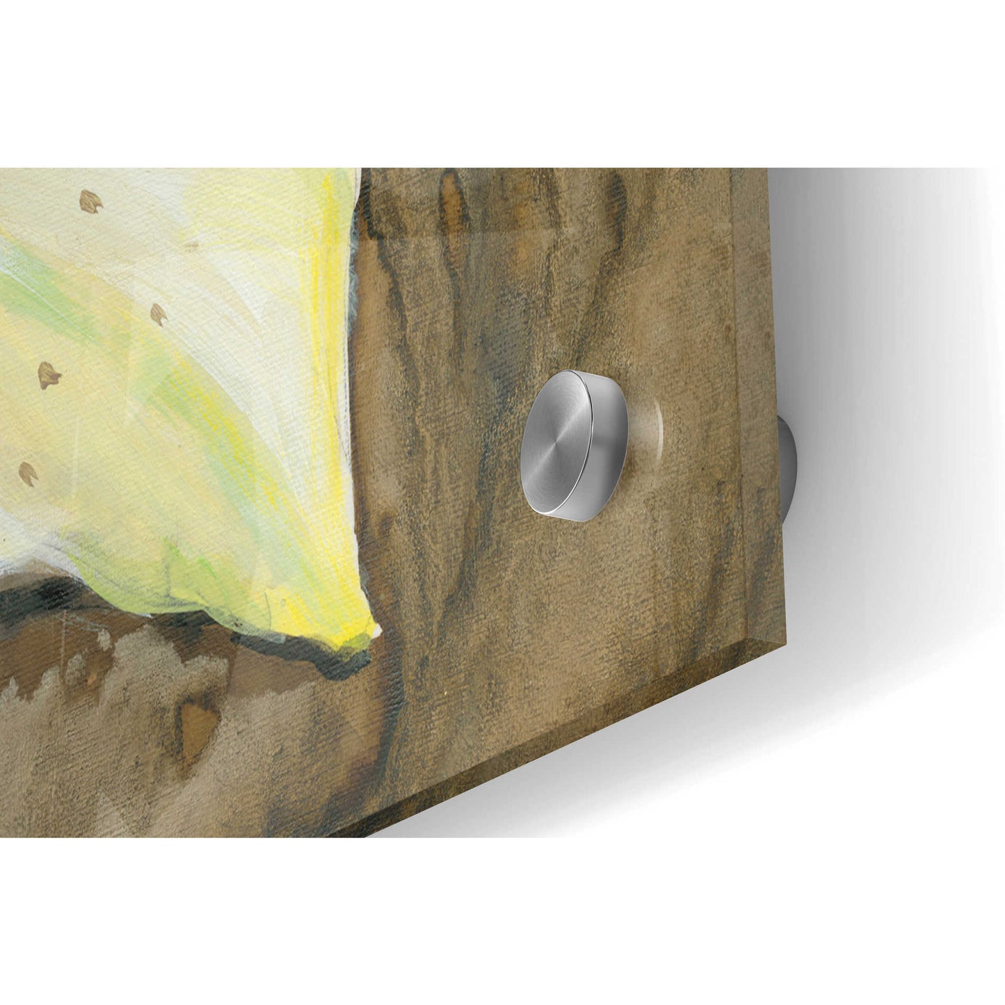 Epic Art 'Neutral Lily I' by Tim O'Toole, Acrylic Glass Wall Art,36x24