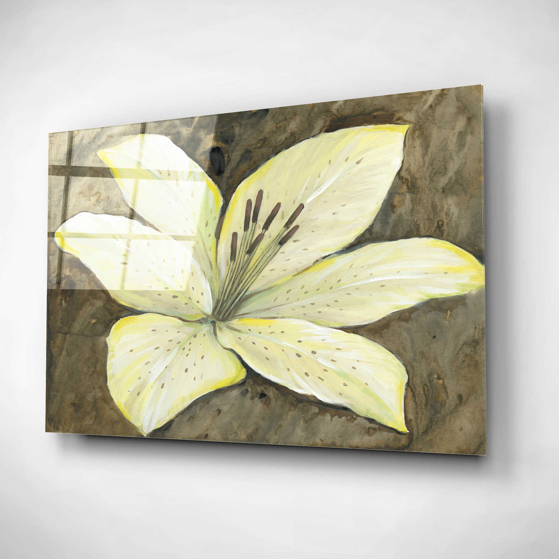Epic Art 'Neutral Lily II' by Tim O'Toole, Acrylic Glass Wall Art,16x12