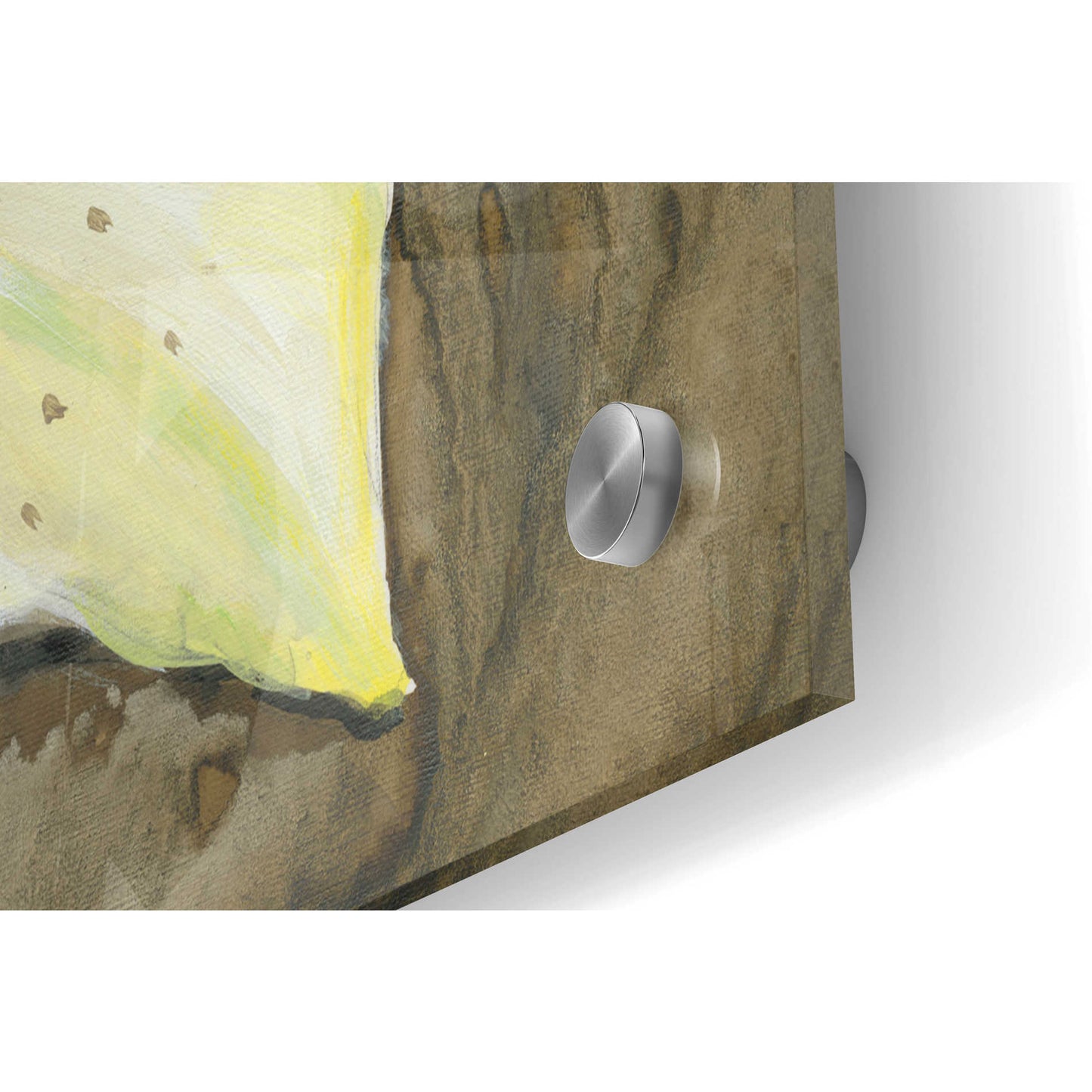 Epic Art 'Neutral Lily II' by Tim O'Toole, Acrylic Glass Wall Art,36x24