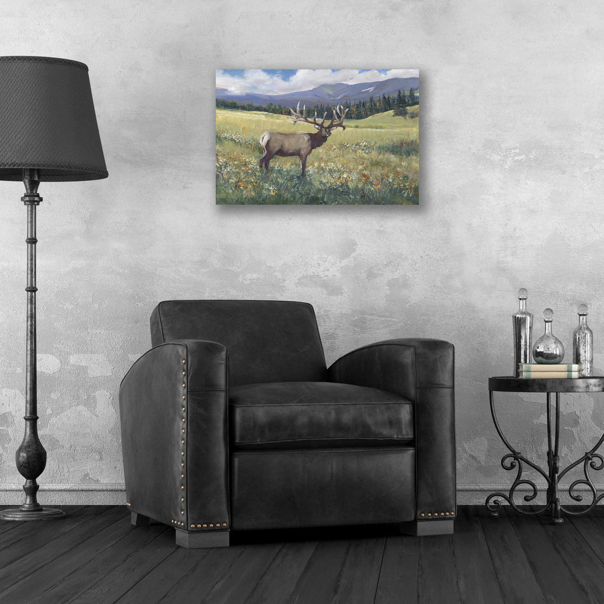 Epic Art 'Rocky Mountain Elk I' by Tim O'Toole, Acrylic Glass Wall Art,24x16