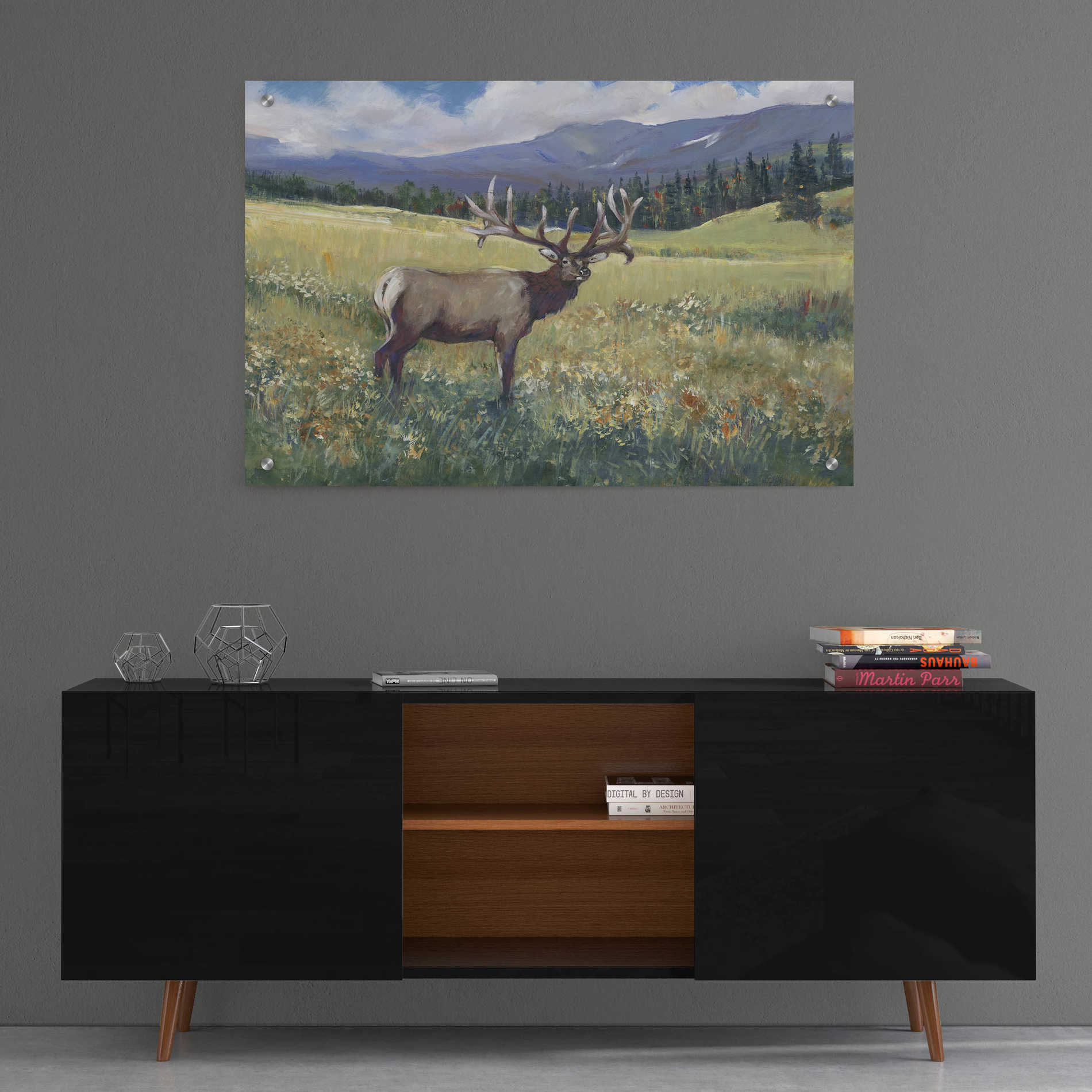 Epic Art 'Rocky Mountain Elk I' by Tim O'Toole, Acrylic Glass Wall Art,36x24