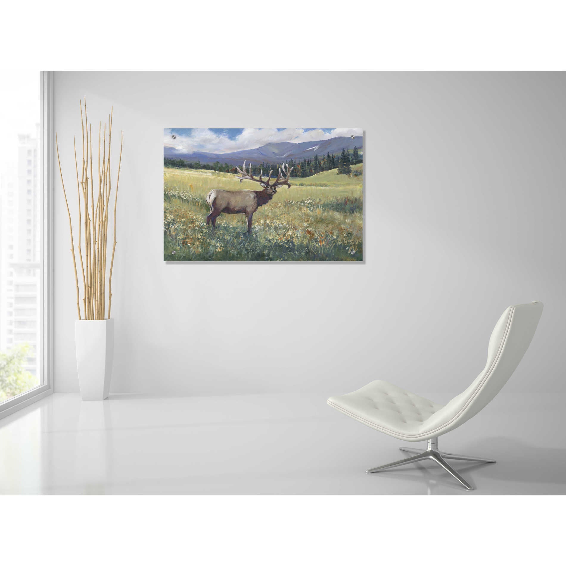 Epic Art 'Rocky Mountain Elk I' by Tim O'Toole, Acrylic Glass Wall Art,36x24