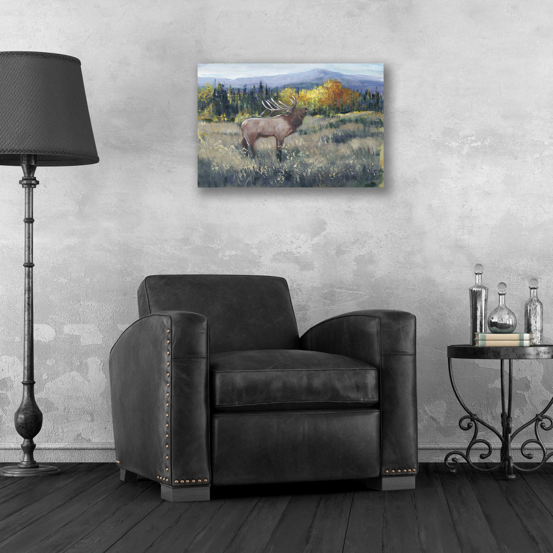 Epic Art 'Rocky Mountain Elk II' by Tim O'Toole, Acrylic Glass Wall Art,24x16