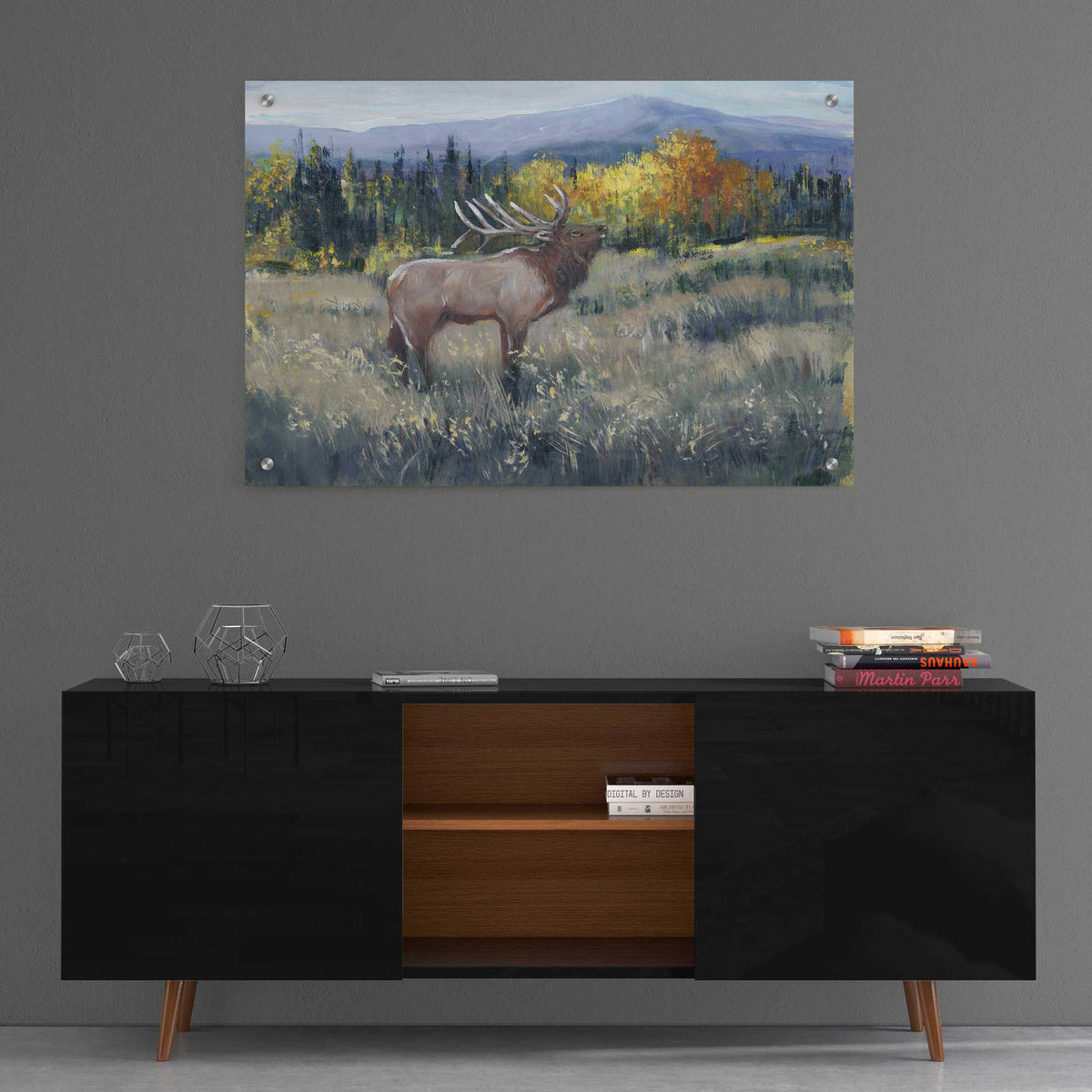 Epic Art 'Rocky Mountain Elk II' by Tim O'Toole, Acrylic Glass Wall Art,36x24