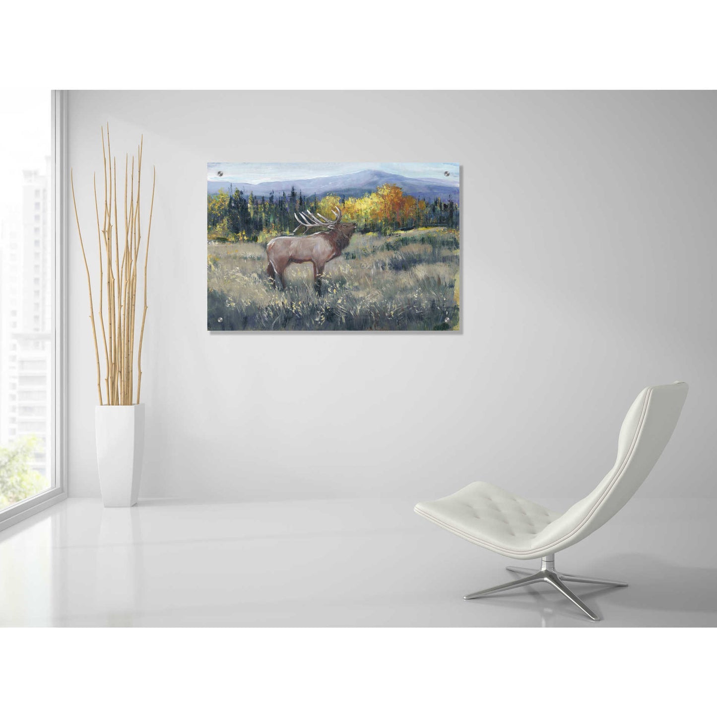 Epic Art 'Rocky Mountain Elk II' by Tim O'Toole, Acrylic Glass Wall Art,36x24