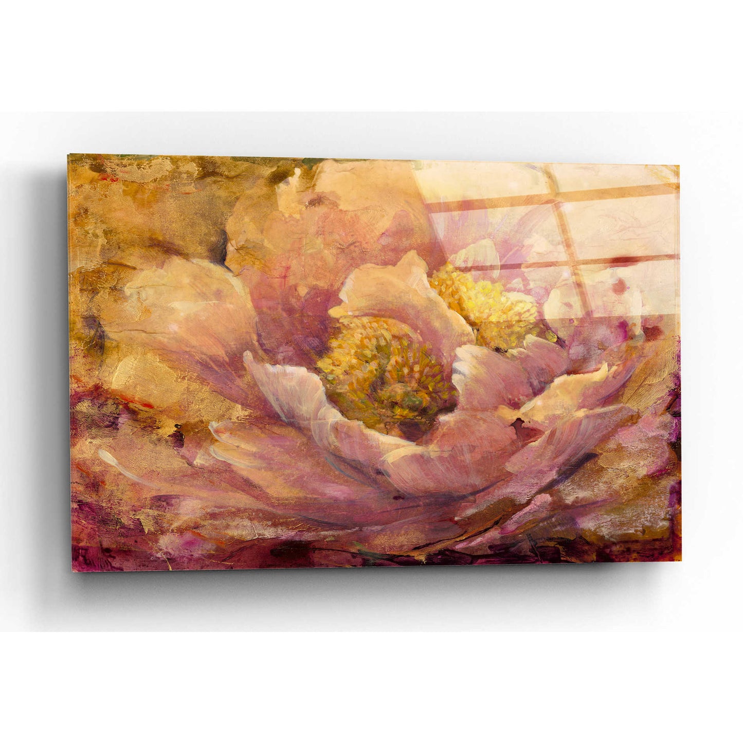 Epic Art 'Floral in Bloom I' by Tim O'Toole, Acrylic Glass Wall Art,24x16