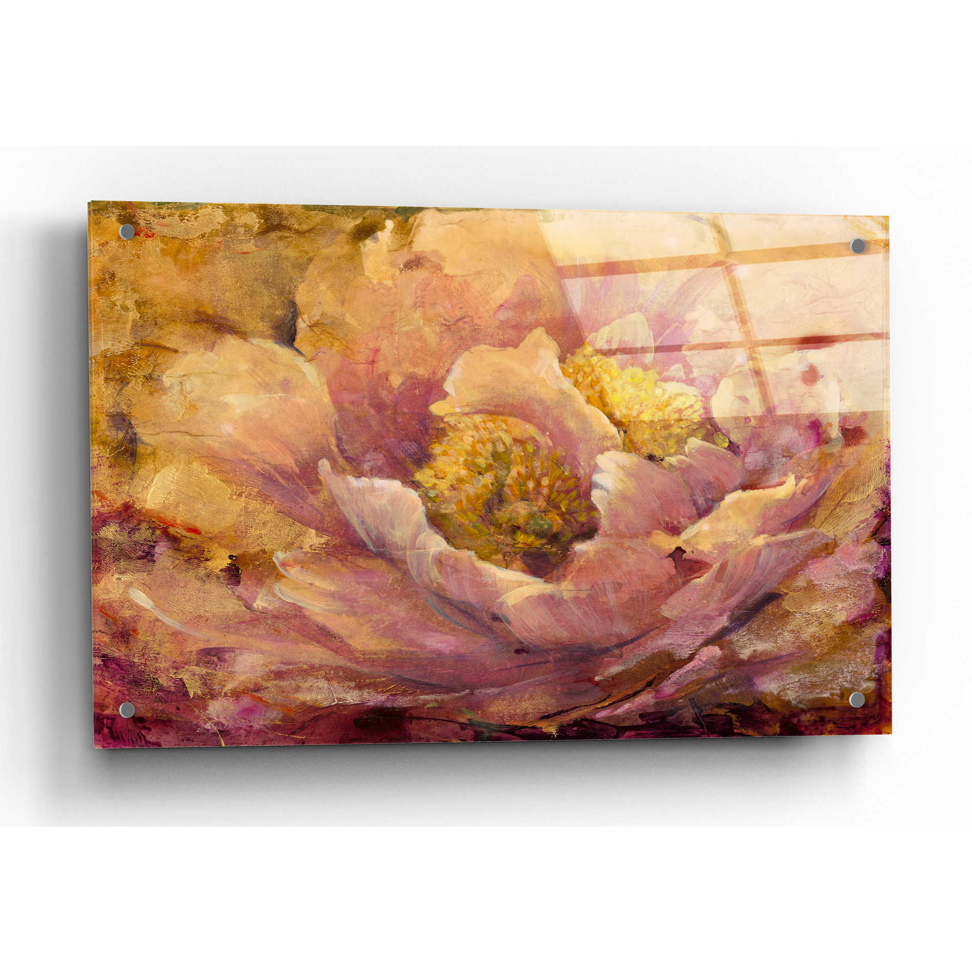 Epic Art 'Floral in Bloom I' by Tim O'Toole, Acrylic Glass Wall Art,36x24