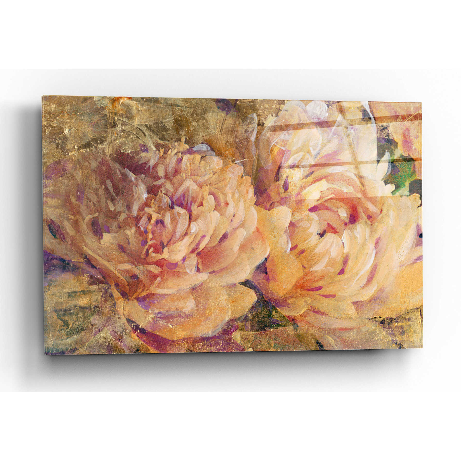 Epic Art 'Floral in Bloom III' by Tim O'Toole, Acrylic Glass Wall Art,24x16