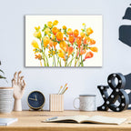 Epic Art 'Freesia I' by Tim O'Toole, Acrylic Glass Wall Art,16x12