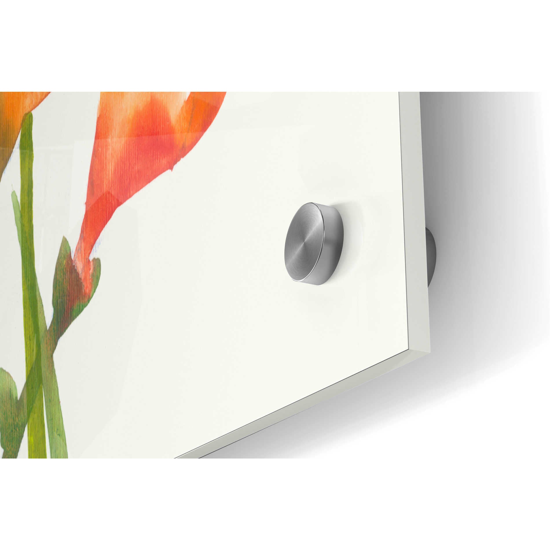 Epic Art 'Freesia I' by Tim O'Toole, Acrylic Glass Wall Art,36x24