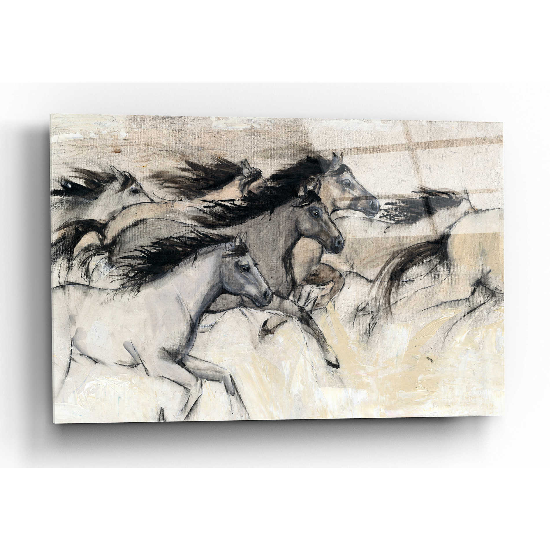 Epic Art 'Horses in Motion I' by Tim O'Toole, Acrylic Glass Wall Art,16x12