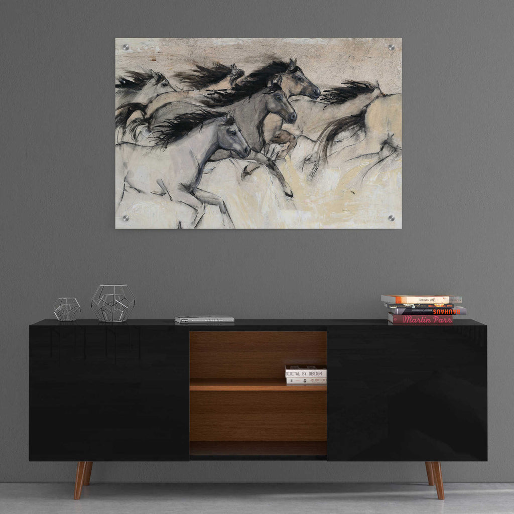 Epic Art 'Horses in Motion I' by Tim O'Toole, Acrylic Glass Wall Art,36x24