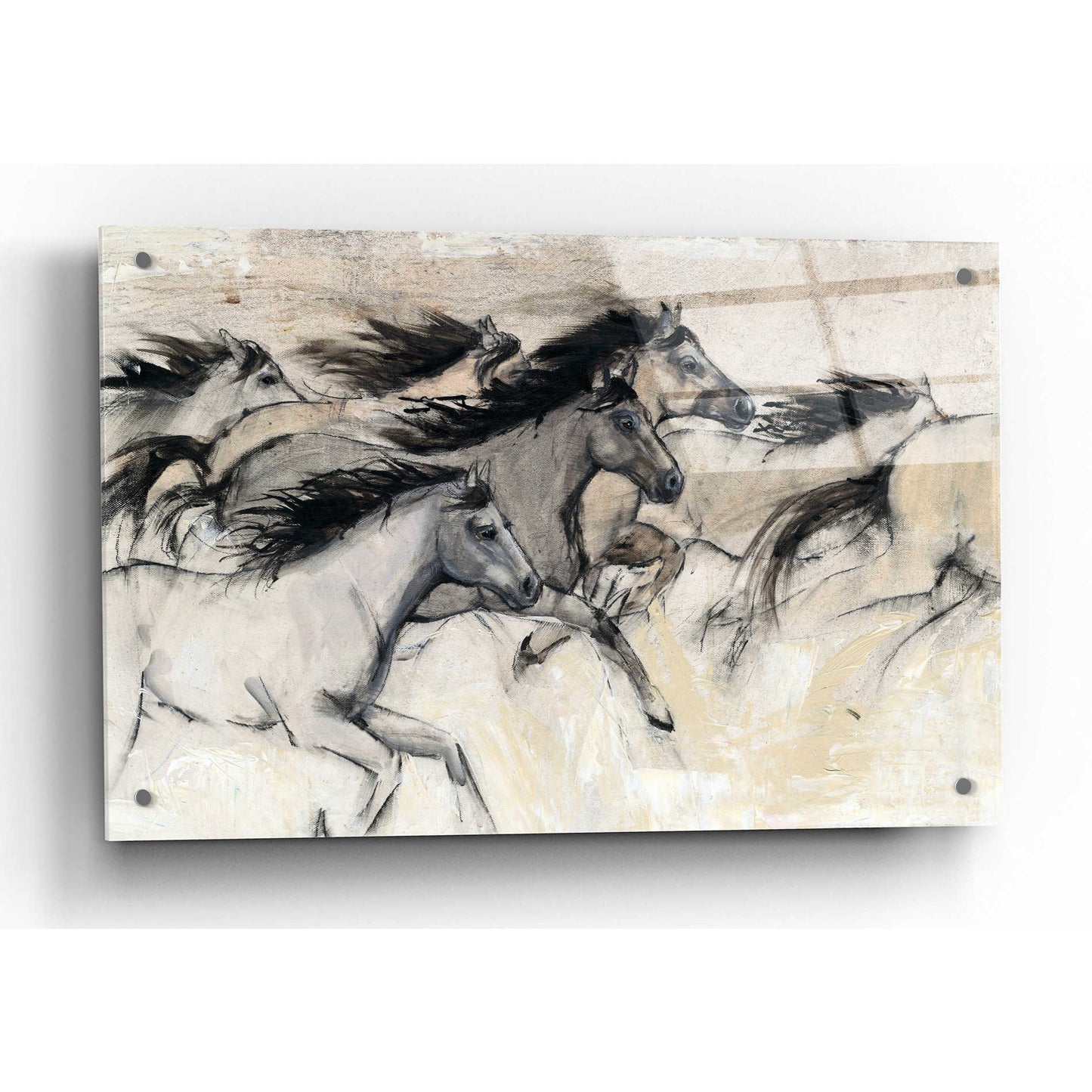 Epic Art 'Horses in Motion I' by Tim O'Toole, Acrylic Glass Wall Art,36x24