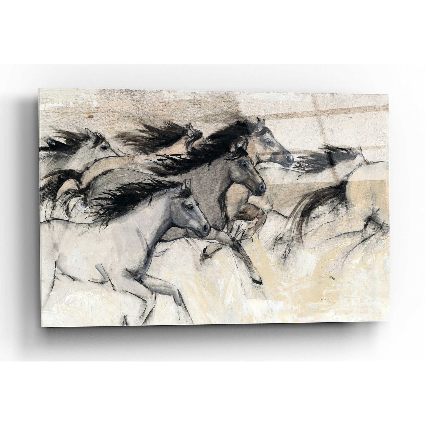 Epic Art 'Horses in Motion I' by Tim O'Toole, Acrylic Glass Wall Art