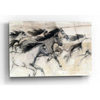 Epic Art 'Horses in Motion I' by Tim O'Toole, Acrylic Glass Wall Art