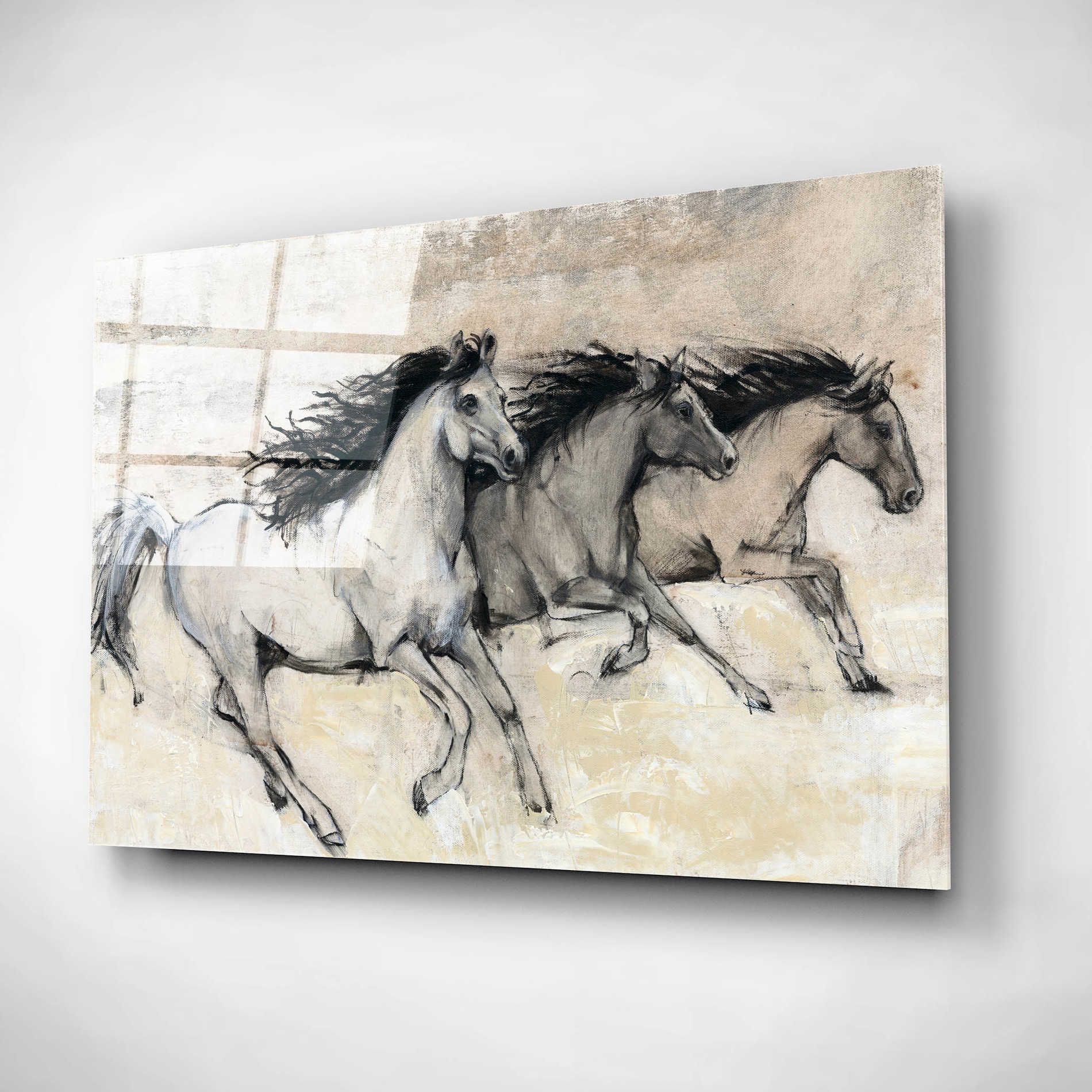 Epic Art 'Horses in Motion II' by Tim O'Toole, Acrylic Glass Wall Art,16x12