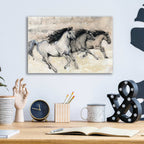 Epic Art 'Horses in Motion II' by Tim O'Toole, Acrylic Glass Wall Art,16x12