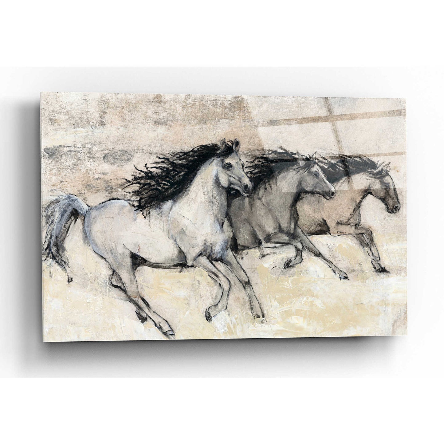 Epic Art 'Horses in Motion II' by Tim O'Toole, Acrylic Glass Wall Art,16x12