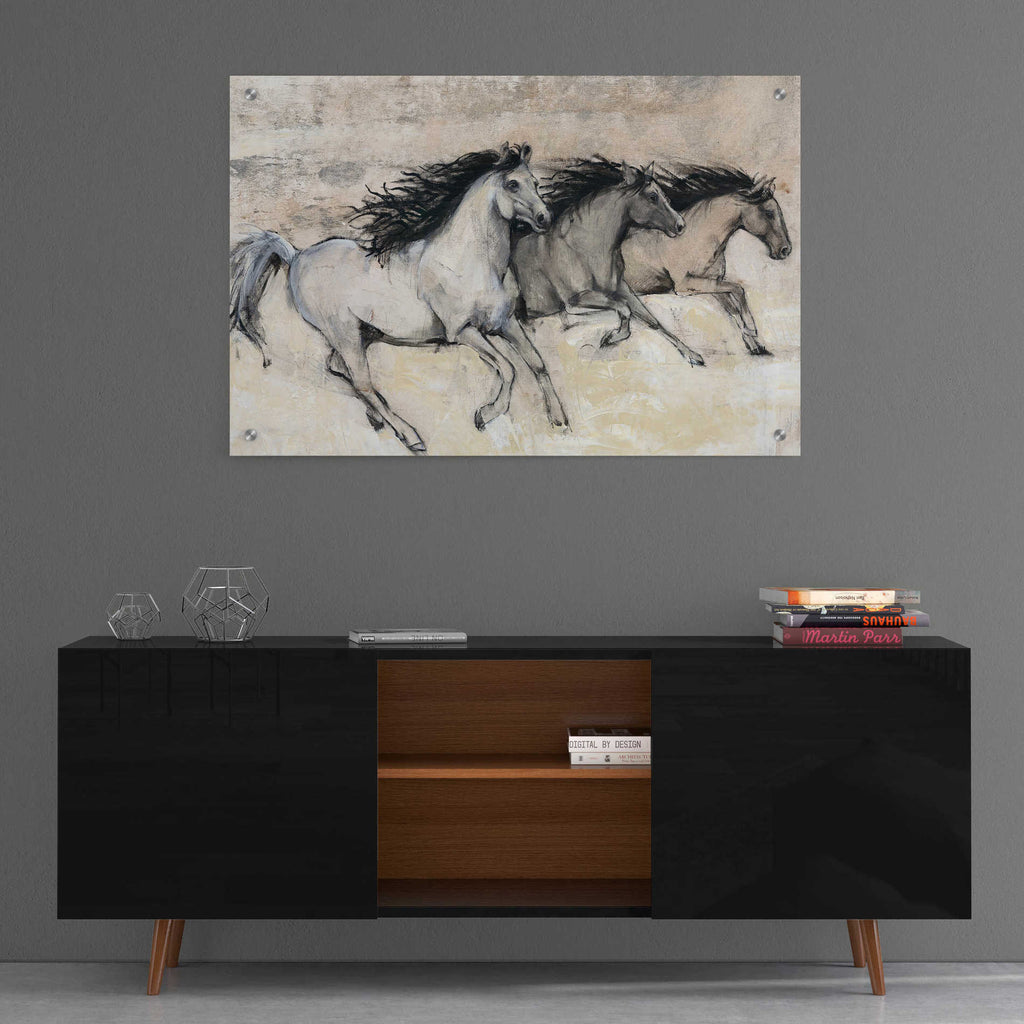 Epic Art 'Horses in Motion II' by Tim O'Toole, Acrylic Glass Wall Art,36x24