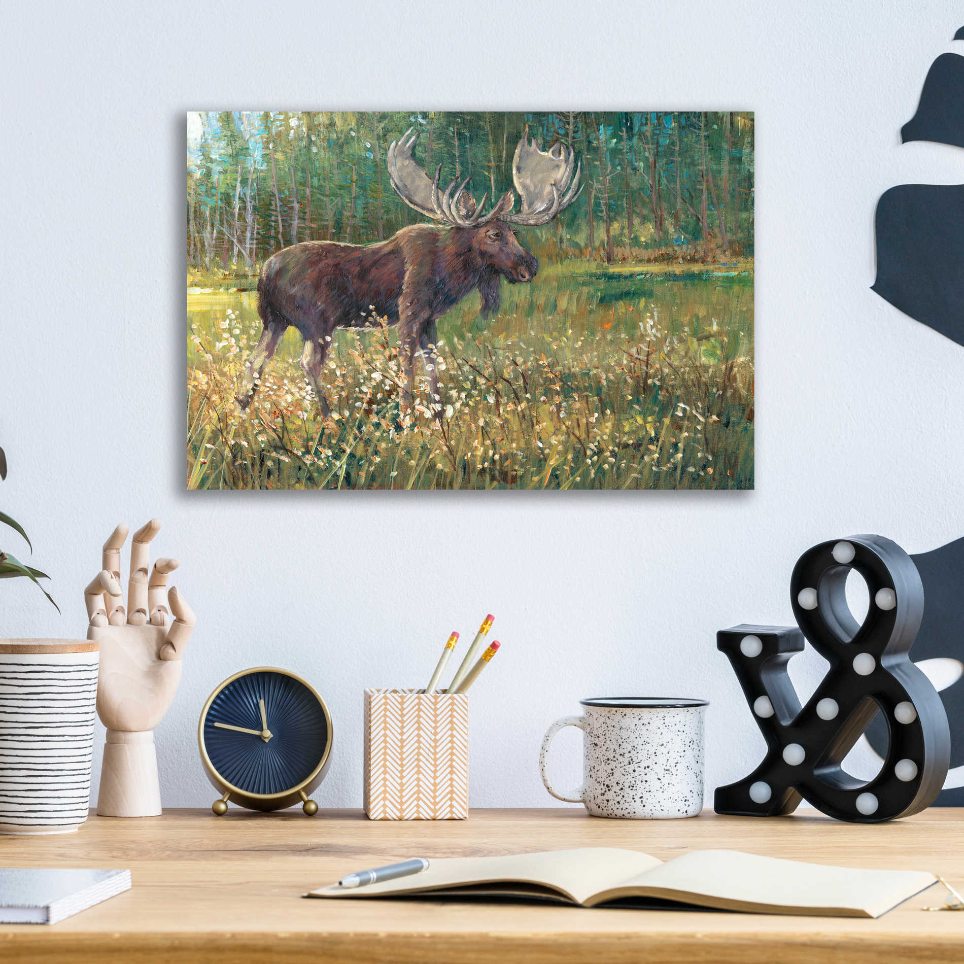 Epic Art 'Moose in the Field' by Tim O'Toole, Acrylic Glass Wall Art,16x12