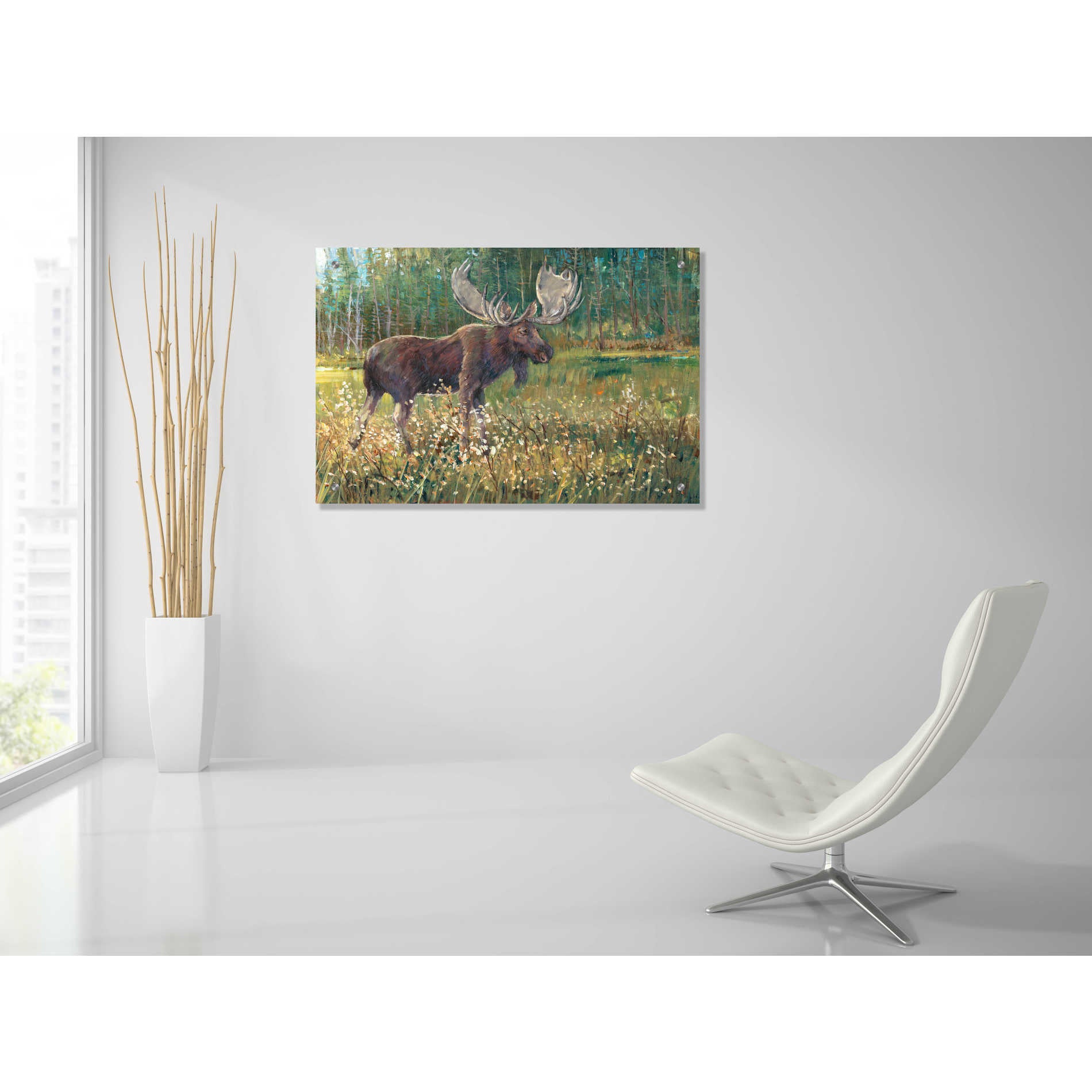 Epic Art 'Moose in the Field' by Tim O'Toole, Acrylic Glass Wall Art,36x24