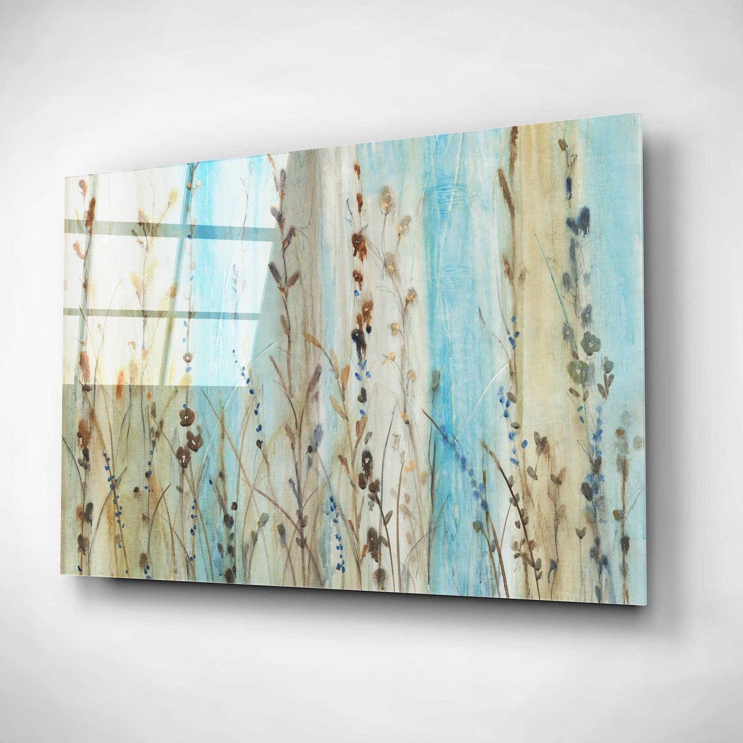 Epic Art 'Ombre Floral II' by Tim O'Toole, Acrylic Glass Wall Art,16x12